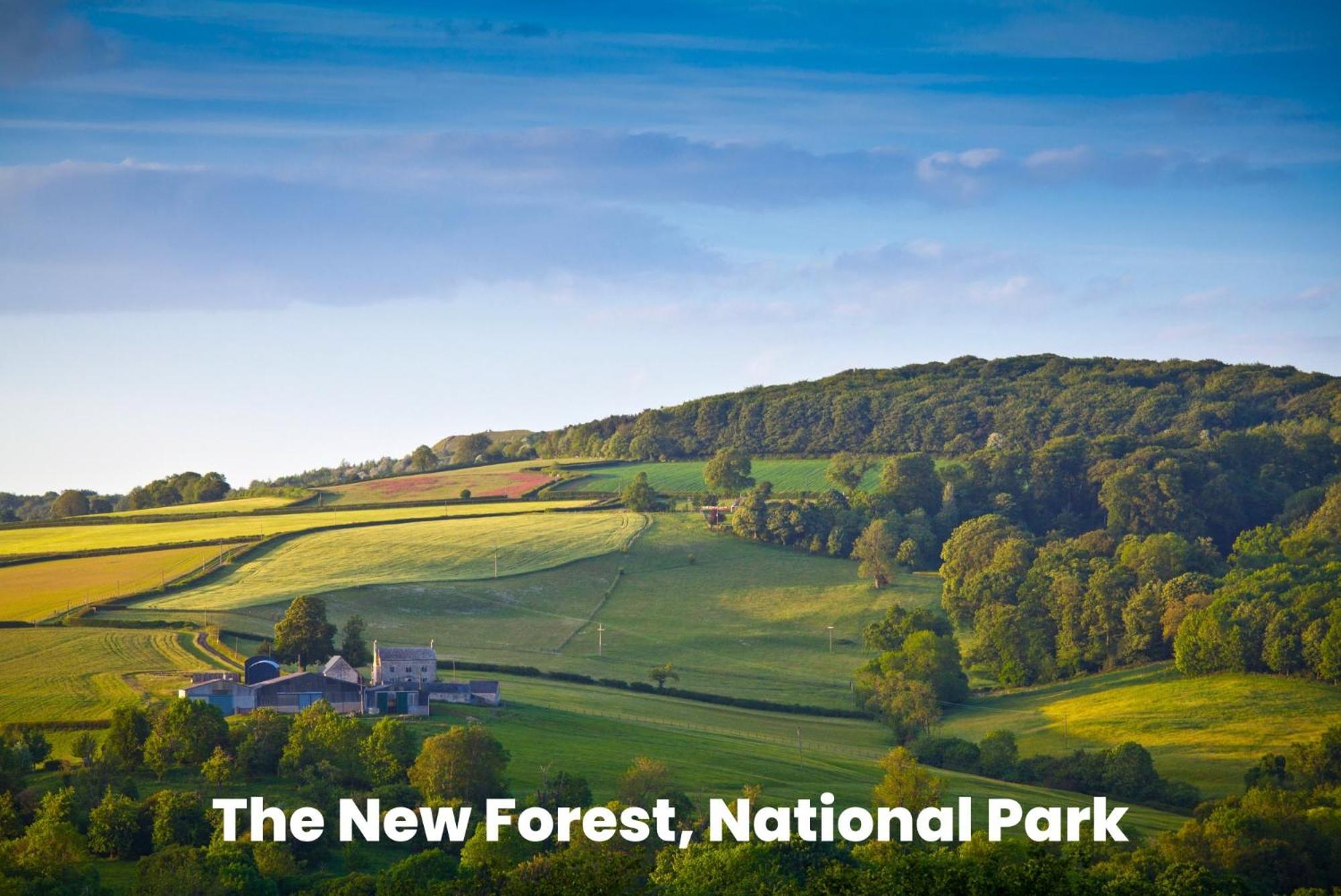 Cosy Retreat Near New Forest Ellingham  Экстерьер фото