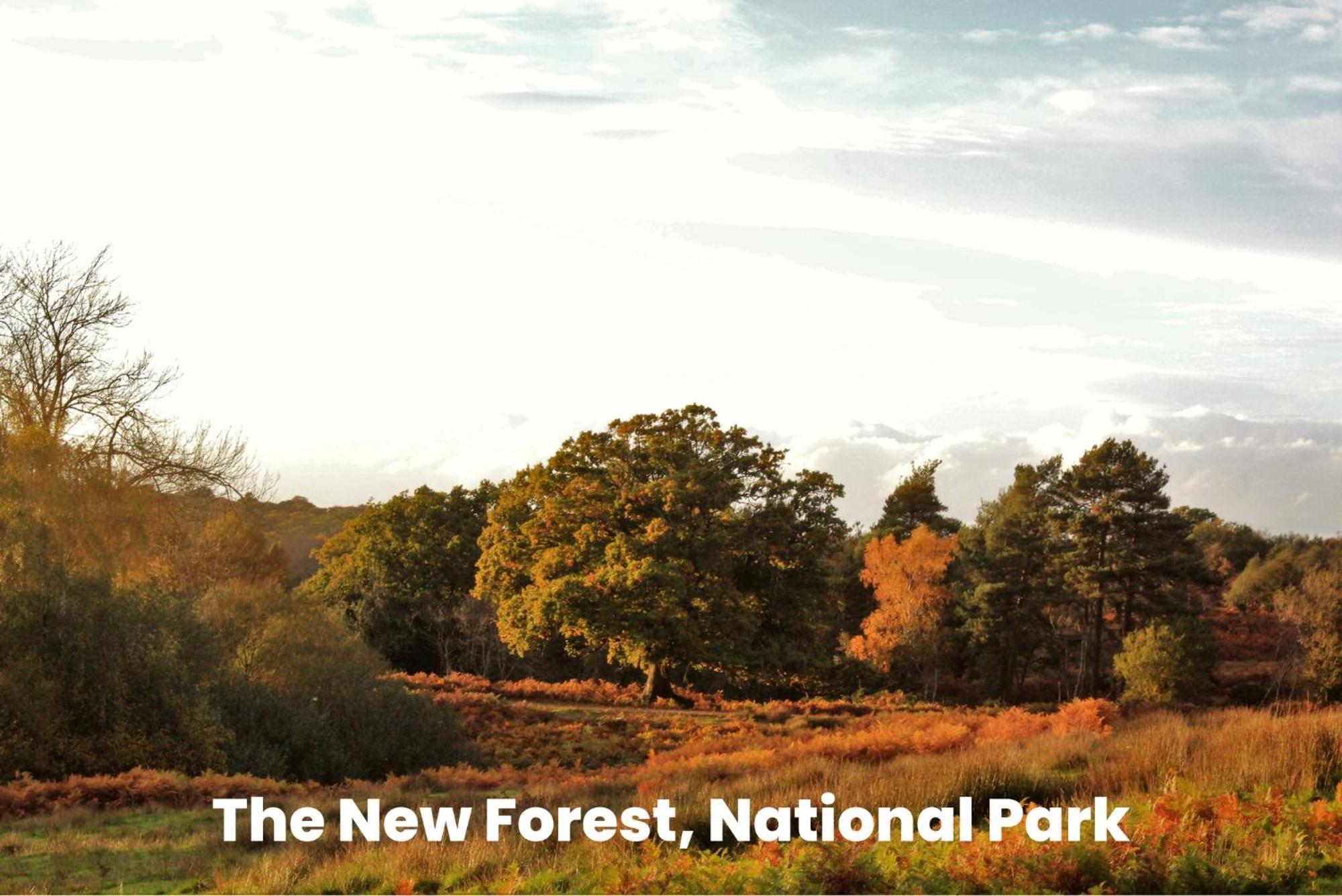 Cosy Retreat Near New Forest Ellingham  Экстерьер фото